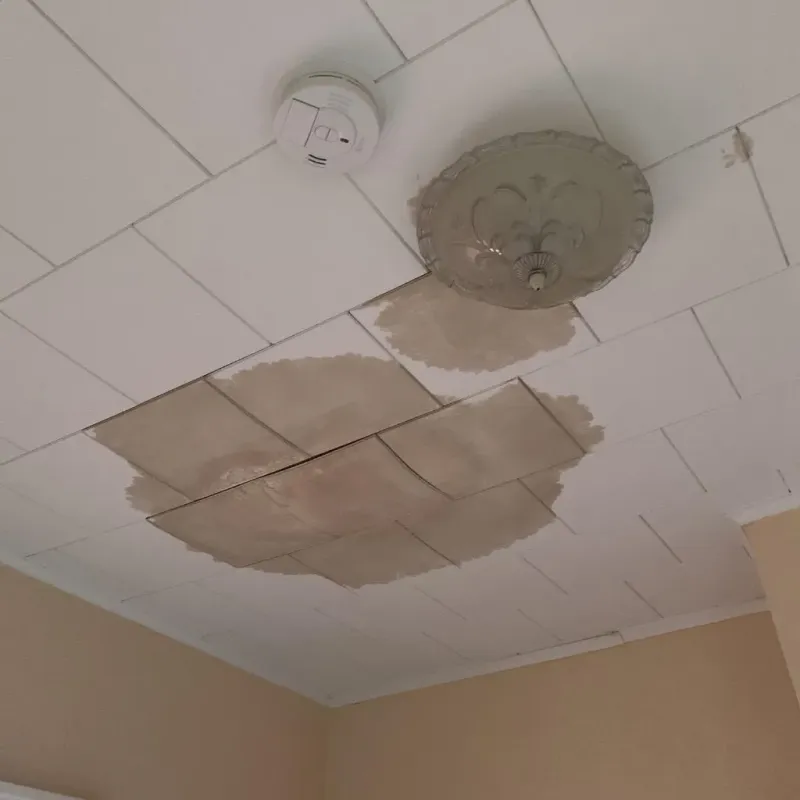 Ceiling Water Damage Repair in Washington, ME