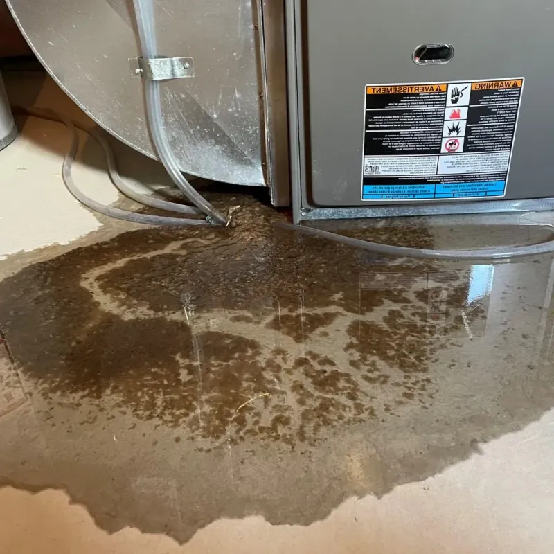 Pipe Burst and Leak Restoration in Washington, ME